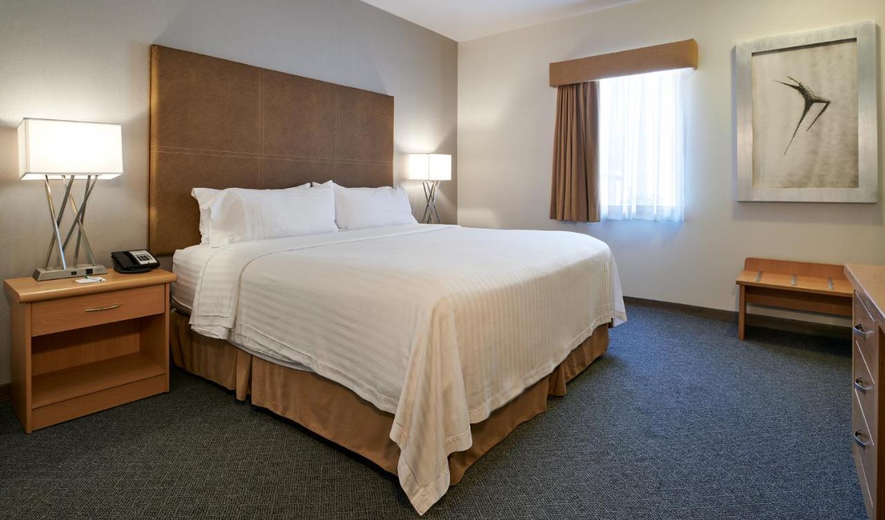 Holiday Inn Hotel & Suites Chihuahua By Ihg Buitenkant foto