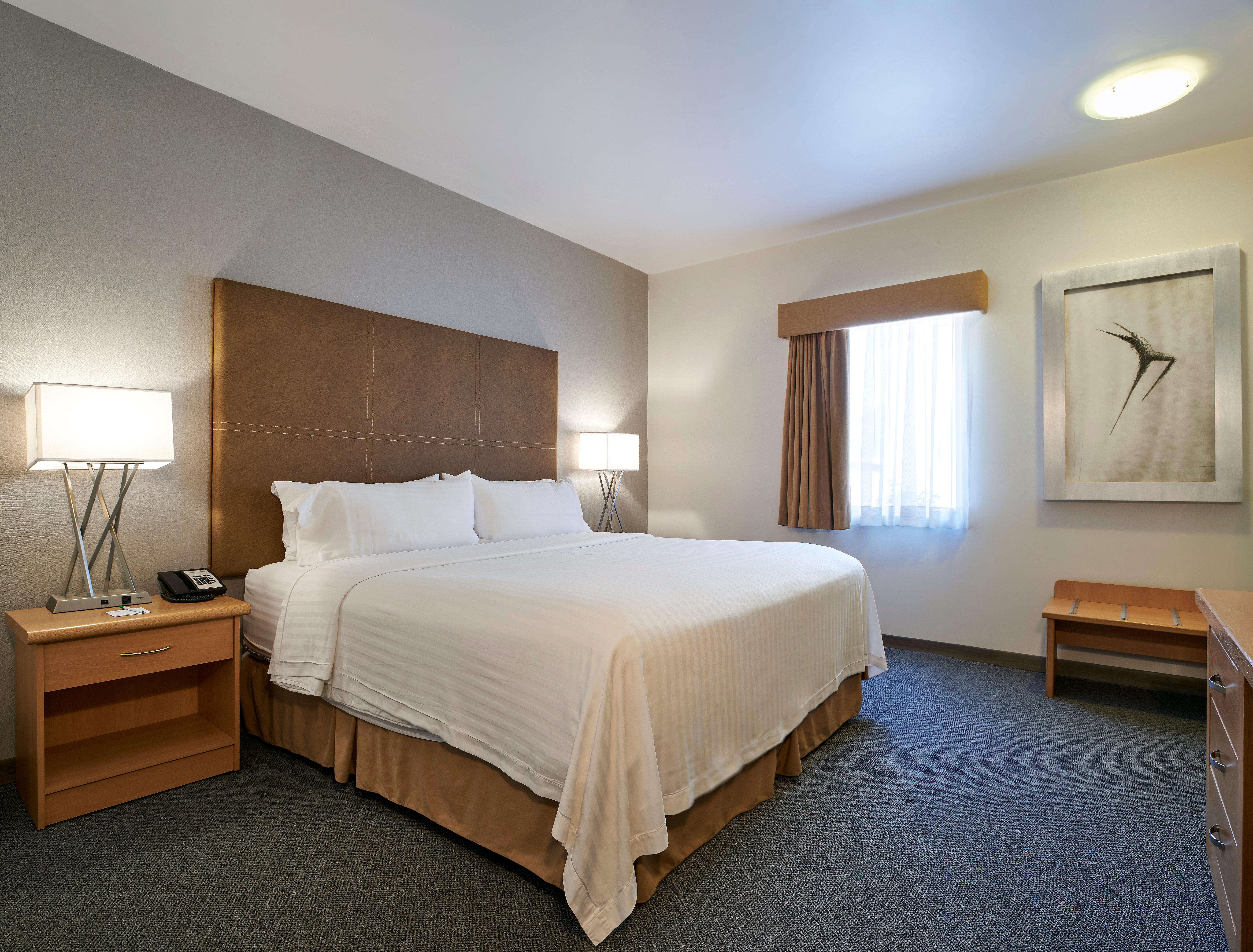 Holiday Inn Hotel & Suites Chihuahua By Ihg Buitenkant foto